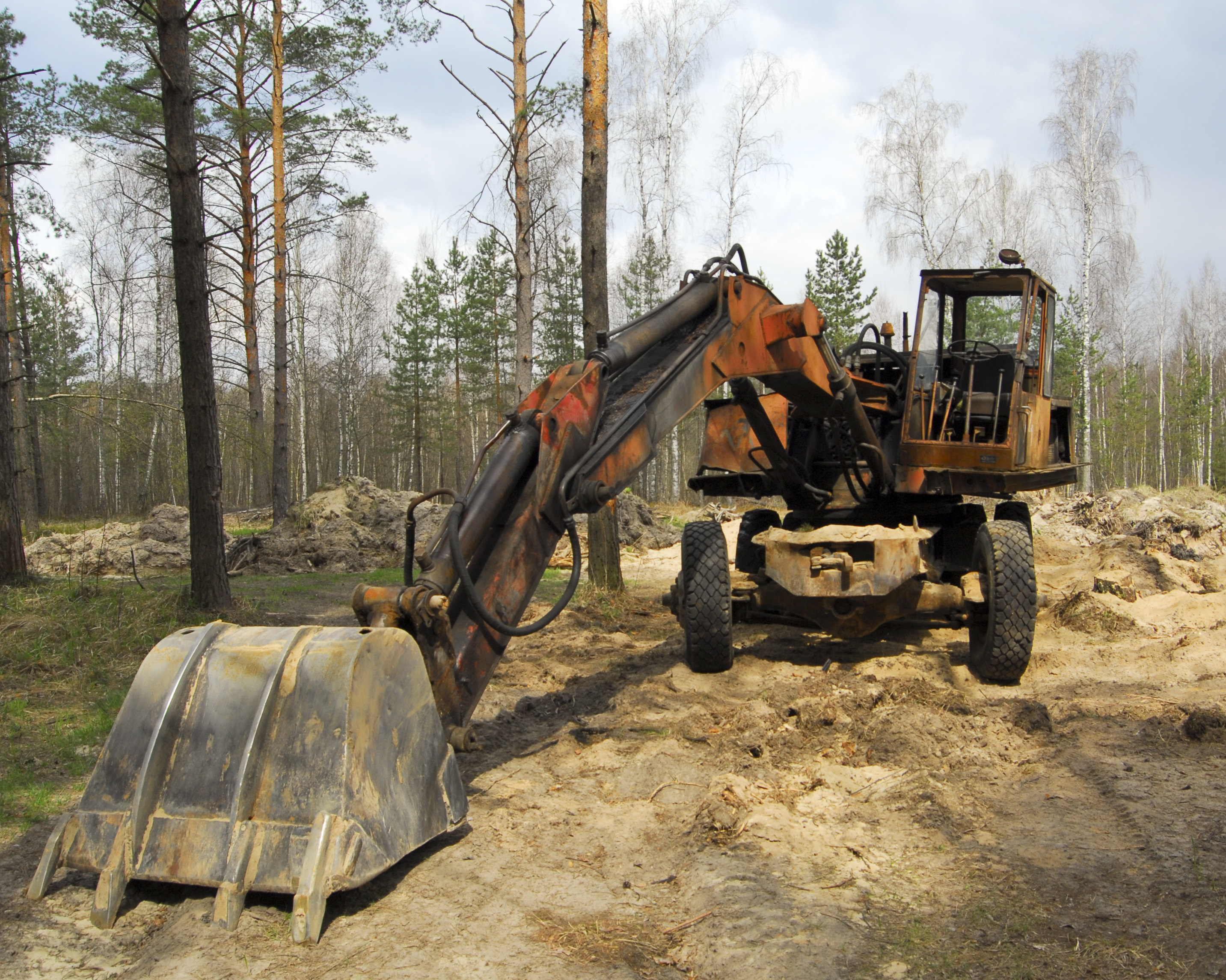 Land clearing and vegetation removal for site preparation in Miami-Dade County